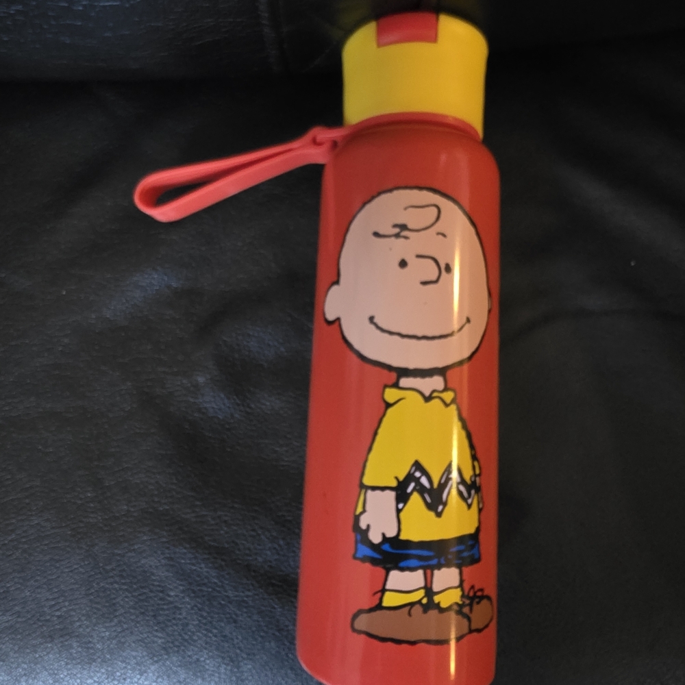 (Reserved) Charlie Brown Water Bottle